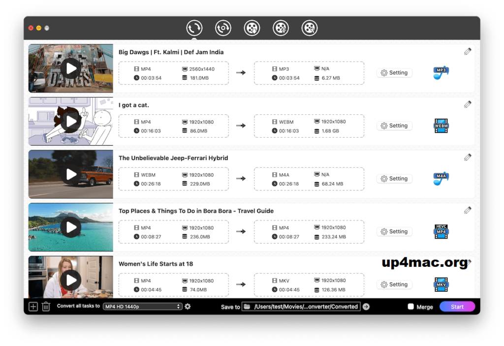 Cisdem VideoPaw Download