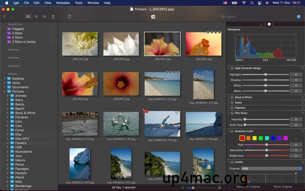 Lyn 2.4.7 for MacOS Download